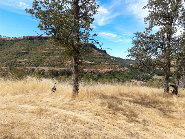 1985 Flatiron, Chico, California 95928