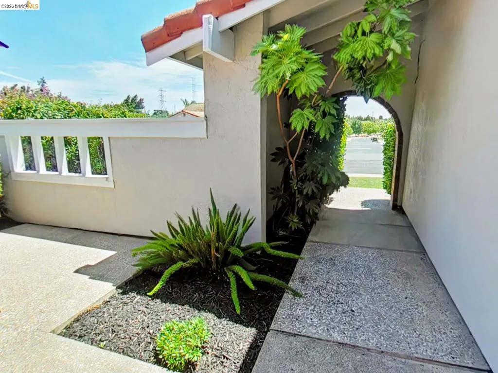 Arched entryway featuring a stucco exterior and concrete pathway