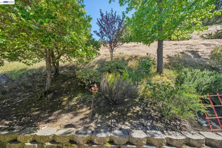 2029 Ptarmigan Dr 2, Walnut Creek, California 94595