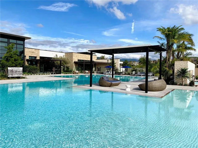 65 Buttonquail, Irvine, California 92618