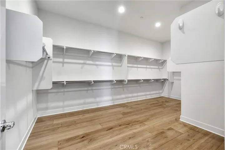 65 Buttonquail, Irvine, California 92618