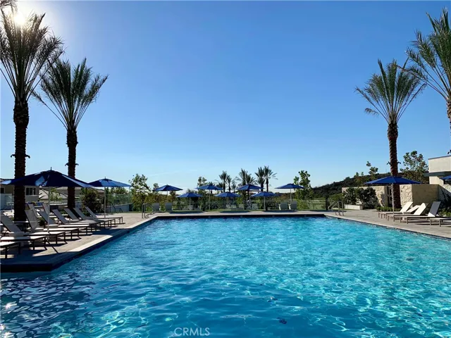 65 Buttonquail, Irvine, California 92618