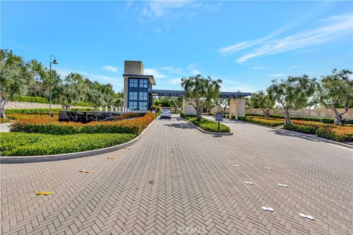 65 Buttonquail, Irvine, California 92618