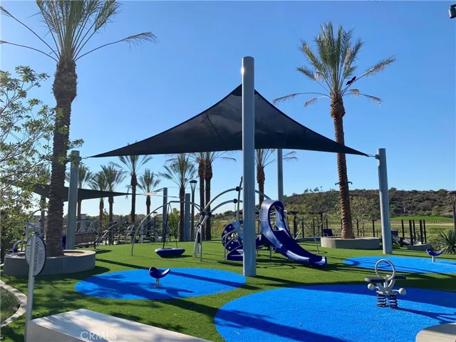 65 Buttonquail, Irvine, California 92618