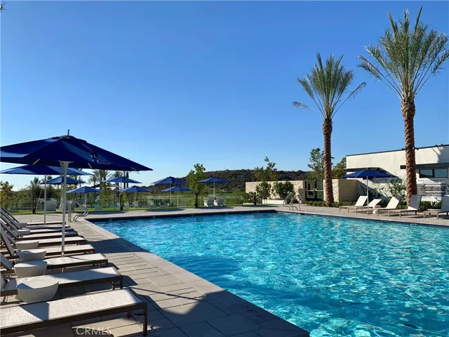 65 Buttonquail, Irvine, California 92618