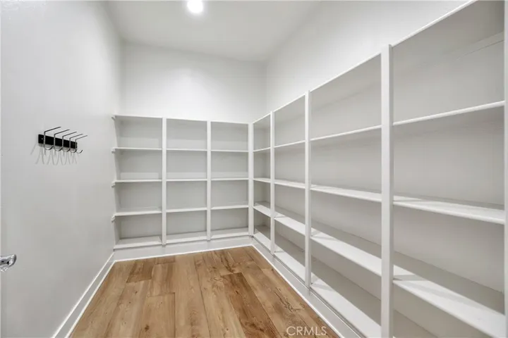 65 Buttonquail, Irvine, California 92618