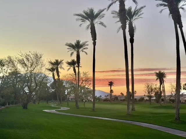 Kensington Sunsets