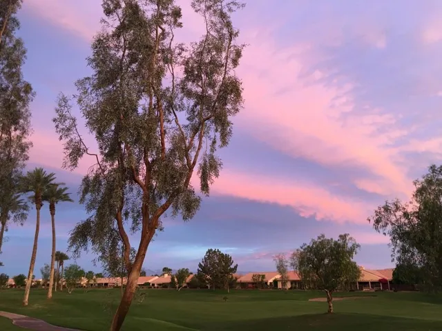 Kensington Sunsets