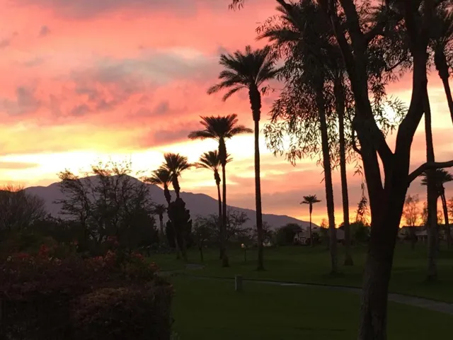 Kensington Sunsets