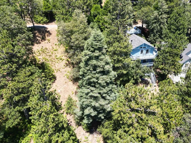 21543 Peak Circle, Cedarpines Park, California 92322