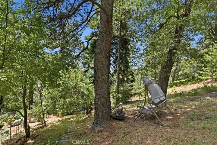 21543 Peak Circle, Cedarpines Park, California 92322