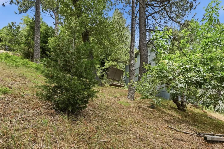 21543 Peak Circle, Cedarpines Park, California 92322