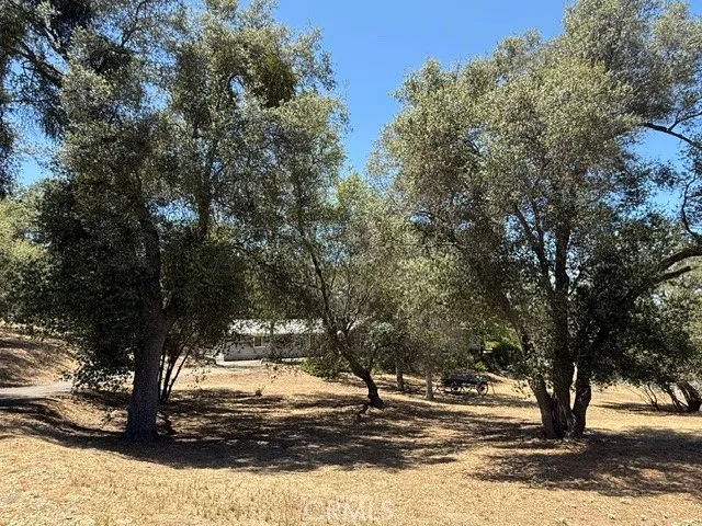 31116 Blue Heron, Coarsegold, California 93614