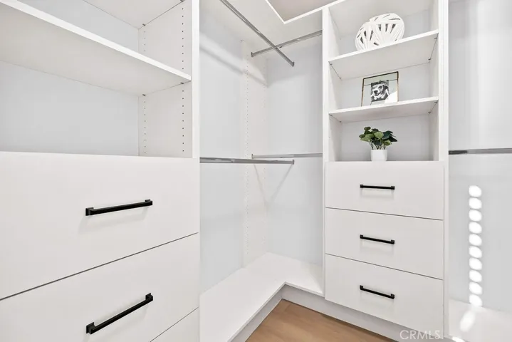 Walk in Closet (Primary)