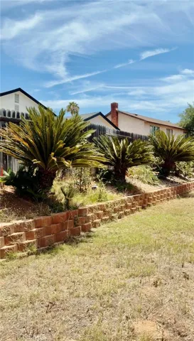 large backyard