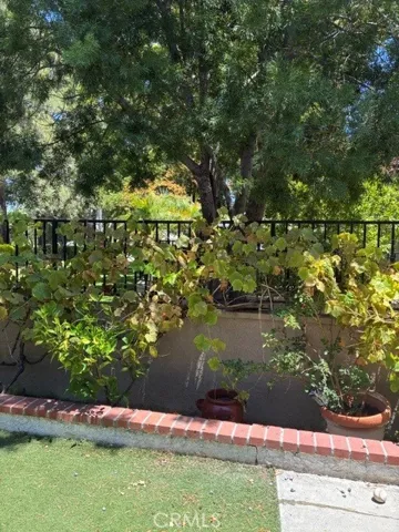 Backyard grape​​‌​​​​‌​​‌‌​​‌​​​‌‌​​​‌​​‌‌​​‌‌​​‌‌​​​​ vines