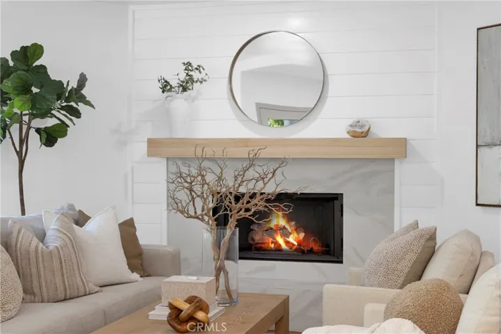 Living Room Fireplace