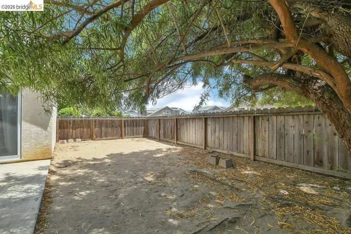 Private backyard featuring a mature tree, wooden perimeter fencing, and concrete patio space