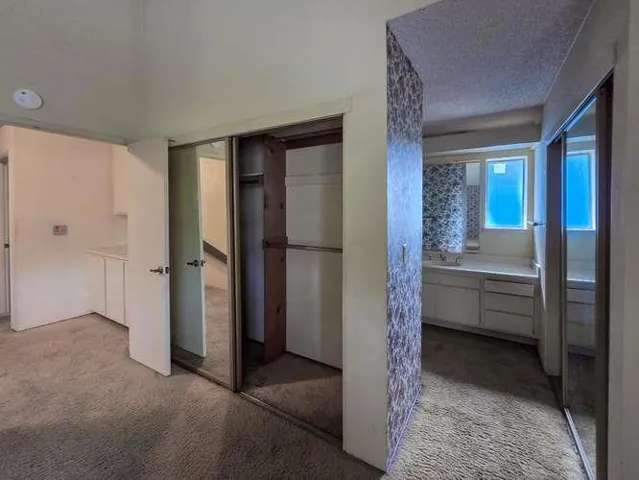 Primary Closets