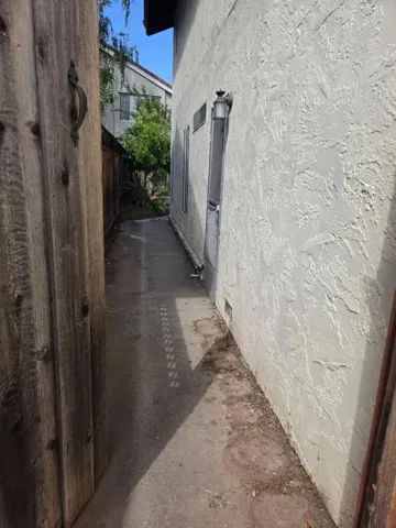 Left Side Yard