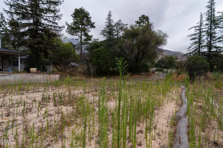 3041 Via Maderas Lot (8 of 20)