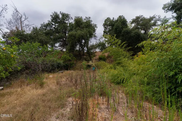 3041 Via Maderas Lot (11 of 20)