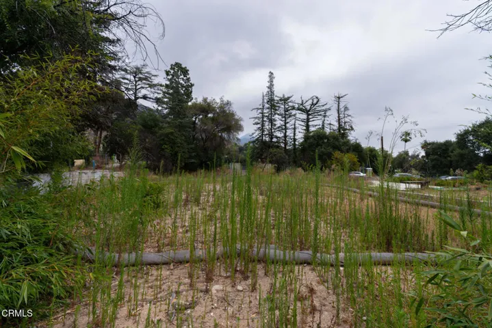 3041 Via Maderas Lot (12 of 20)
