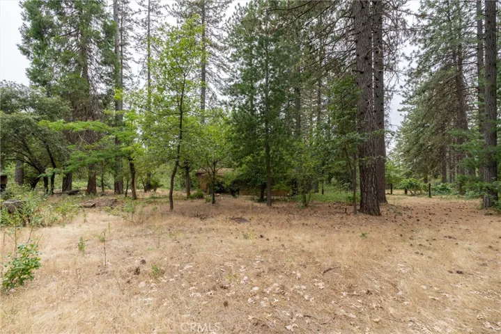 15184 Siwini Road, Forest Ranch, California 95942