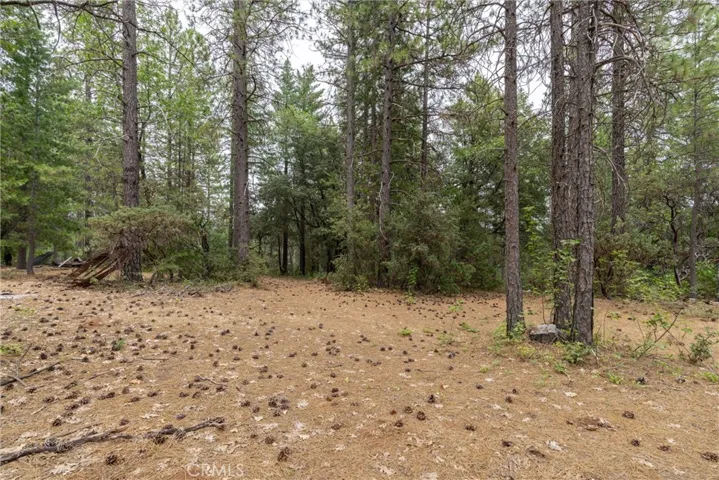 15184 Siwini Road, Forest Ranch, California 95942