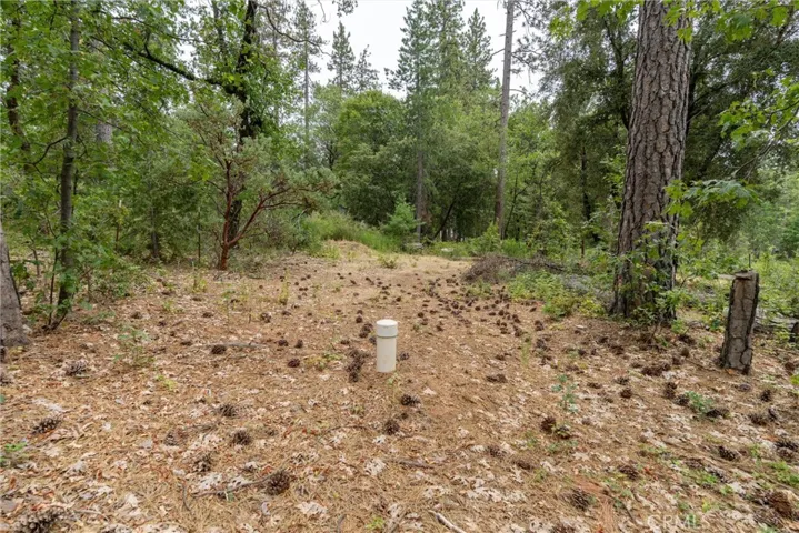 15184 Siwini Road, Forest Ranch, California 95942