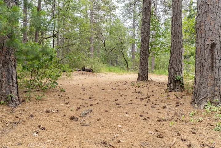 15184 Siwini Road, Forest Ranch, California 95942