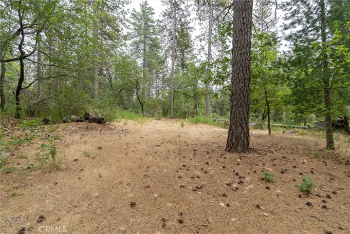 15184 Siwini Road, Forest Ranch, California 95942