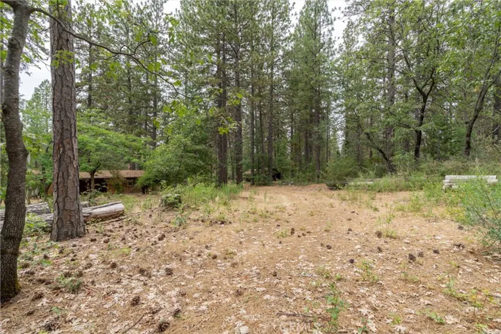 15184 Siwini Road, Forest Ranch, California 95942