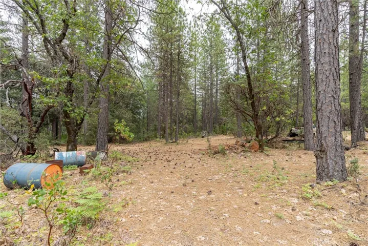 15184 Siwini Road, Forest Ranch, California 95942