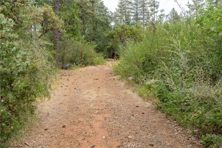 15184 Siwini Road, Forest Ranch, California 95942