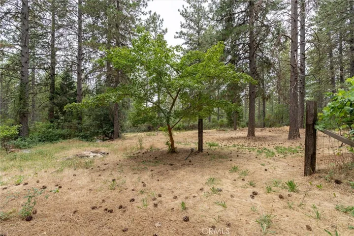 15184 Siwini Road, Forest Ranch, California 95942