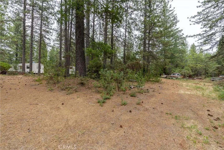 15184 Siwini Road, Forest Ranch, California 95942