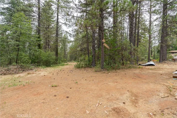 15184 Siwini Road, Forest Ranch, California 95942