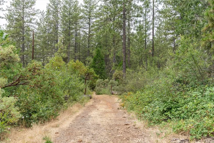 15184 Siwini Road, Forest Ranch, California 95942