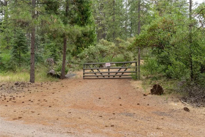 15184 Siwini Road, Forest Ranch, California 95942