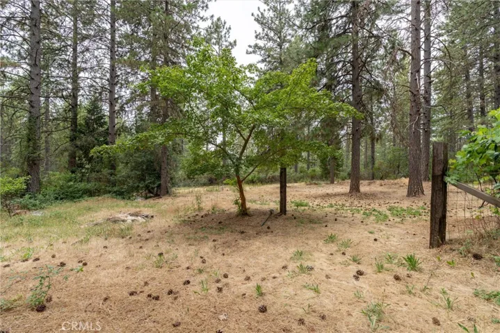 15184 Siwini Road, Forest Ranch, California 95942