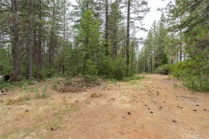 15184 Siwini Road, Forest Ranch, California 95942