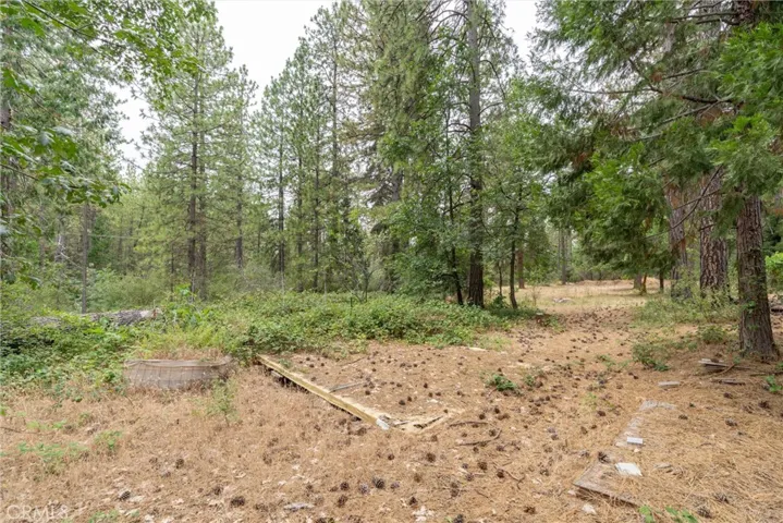 15184 Siwini Road, Forest Ranch, California 95942