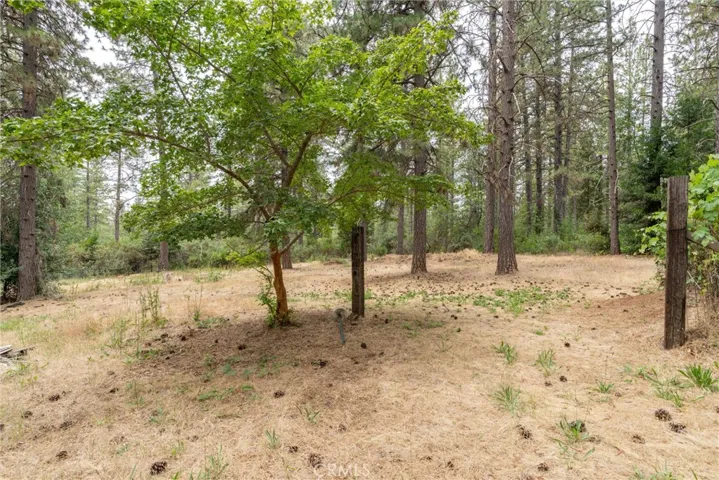 15184 Siwini Road, Forest Ranch, California 95942