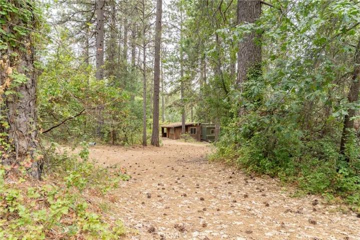 15184 Siwini Road, Forest Ranch, California 95942