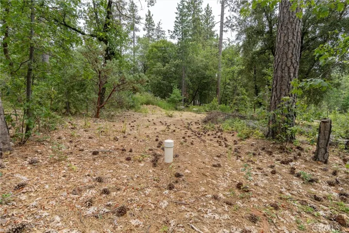 15184 Siwini Road, Forest Ranch, California 95942