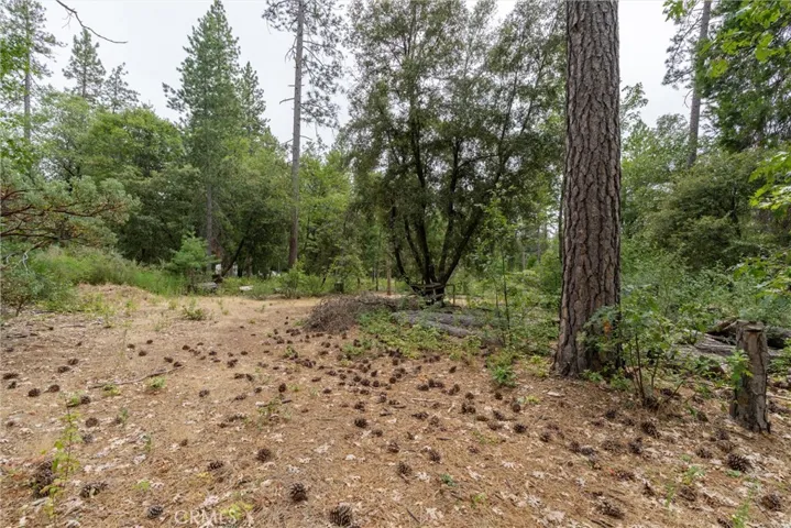 15184 Siwini Road, Forest Ranch, California 95942