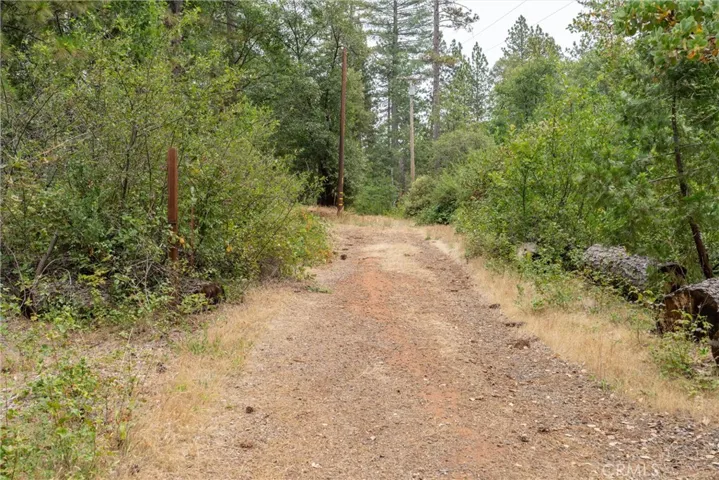 15184 Siwini Road, Forest Ranch, California 95942