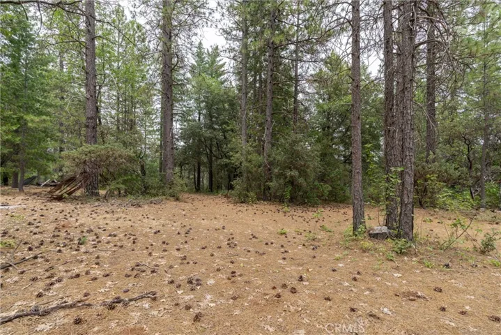 15184 Siwini Road, Forest Ranch, California 95942