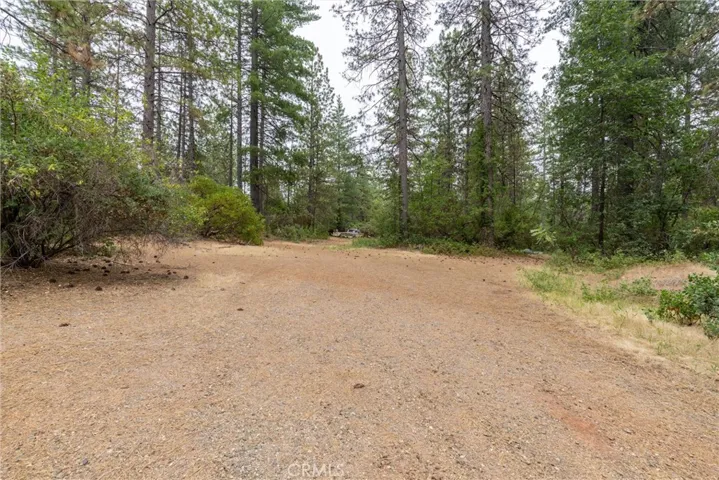 15184 Siwini Road, Forest Ranch, California 95942